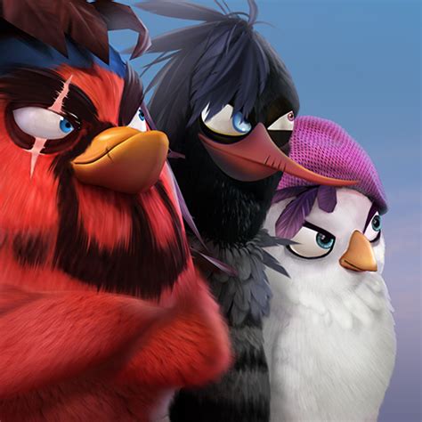 Angry Bird (@fgc.